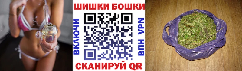ГАШ Малаховка