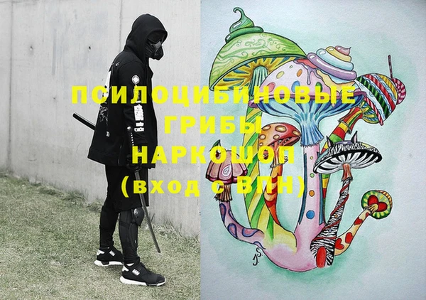 дурь Ладушкин