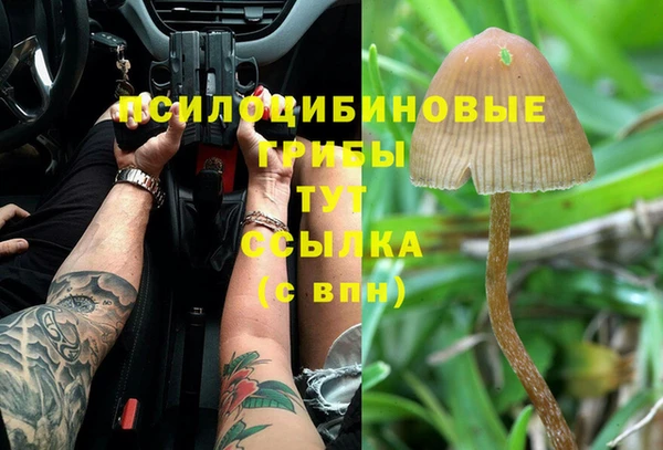 jwh Алзамай