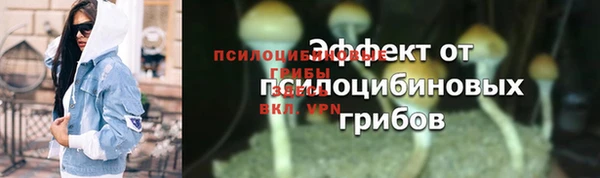 ГАЛЛЮЦИНОГЕННЫЕ ГРИБЫ Алексеевка