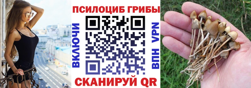 Галлюциногенные грибы ЛСД  hydra ссылки  Малаховка 